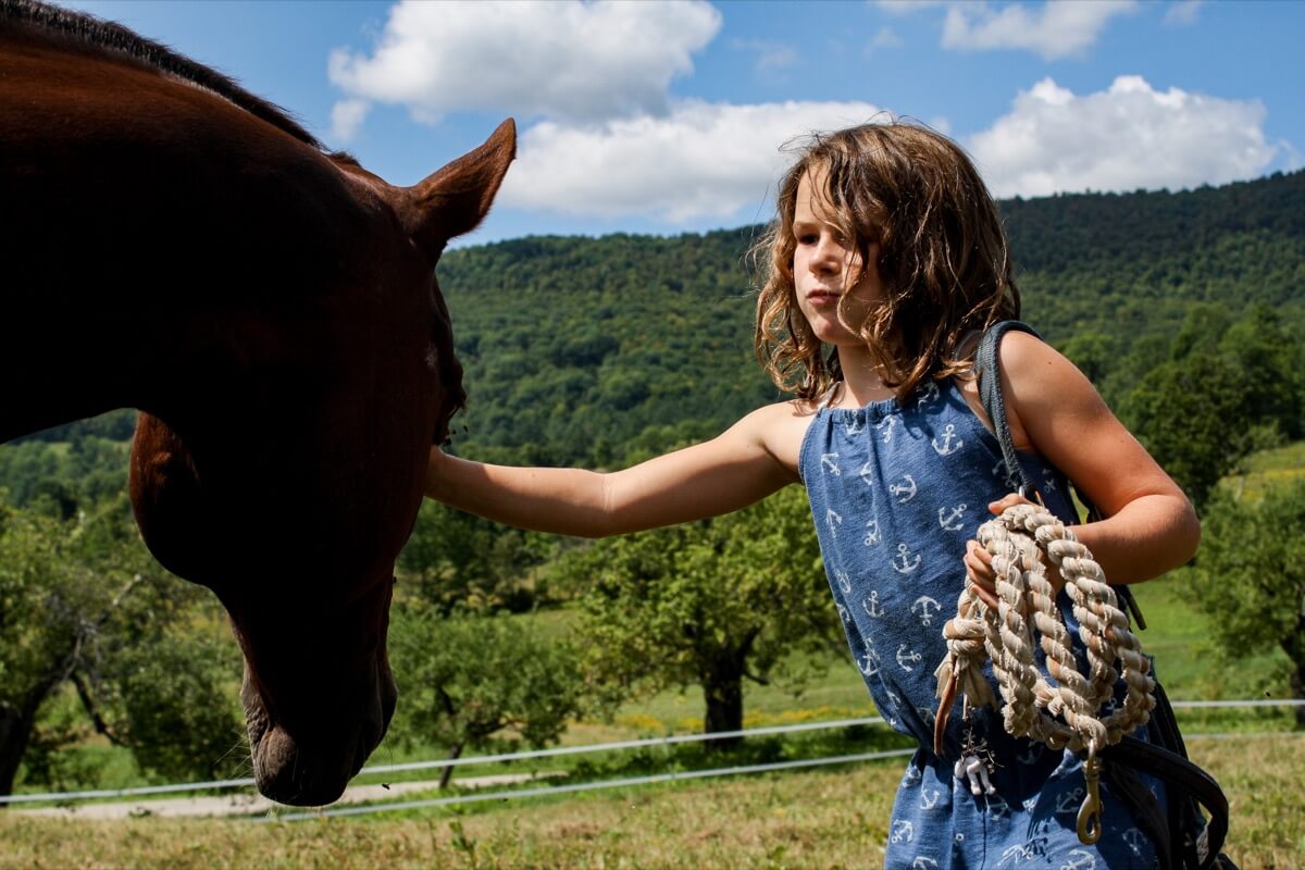 Girl working with horse on hemp farm