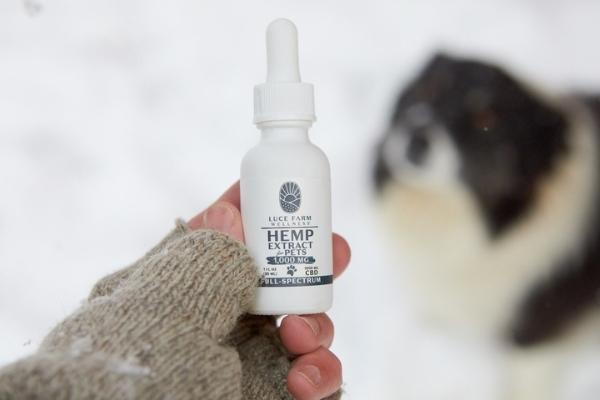 CBD for Pets, the research is even more behind. On the human side, what we know so far is CBD can be highly effective for relieving stress and anxiety, reducing inflammation and pain