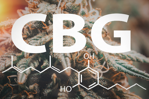 Hemp flower with CBG molecule