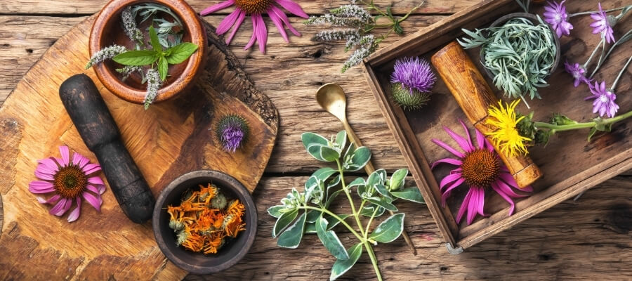 healing herbs