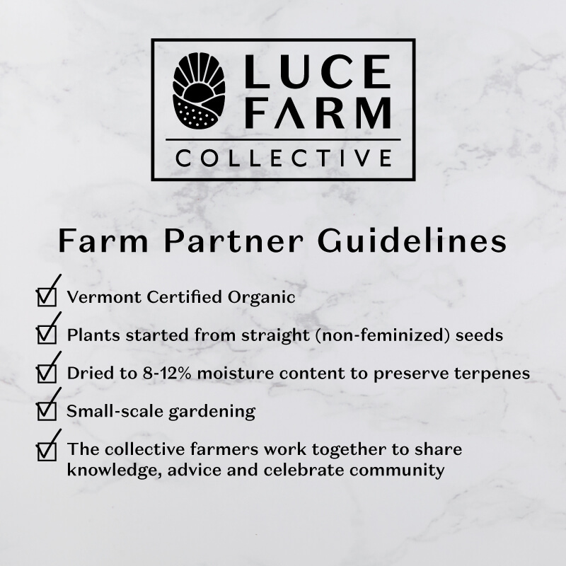 luce farm collective