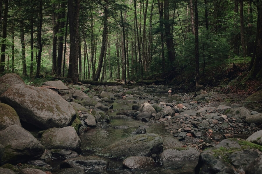 Streambed in Vermont forest
