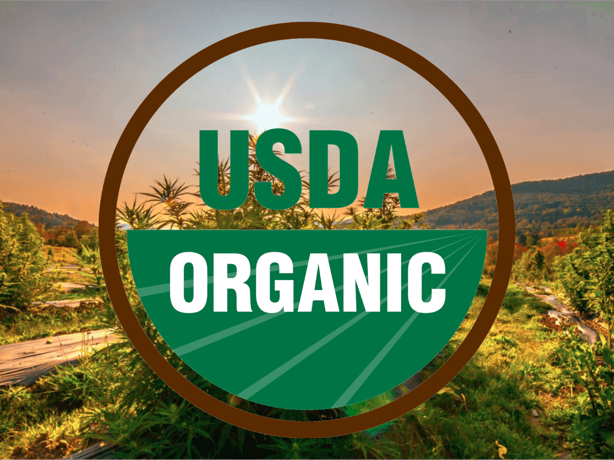 USDA organic seal on hemp field
