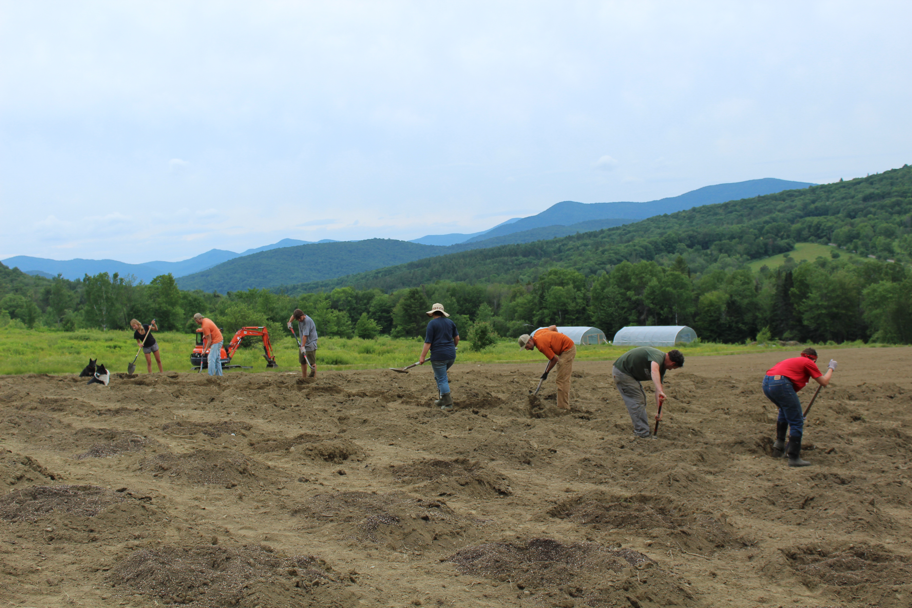 August at Luce Farm, herb and vegetable gardens.